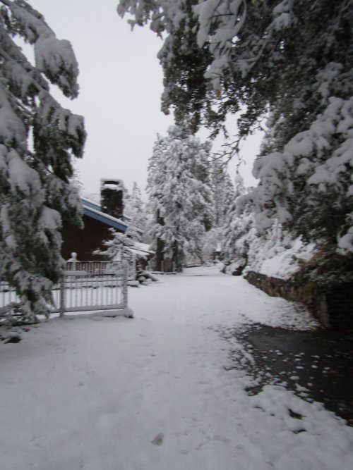snow on the road 